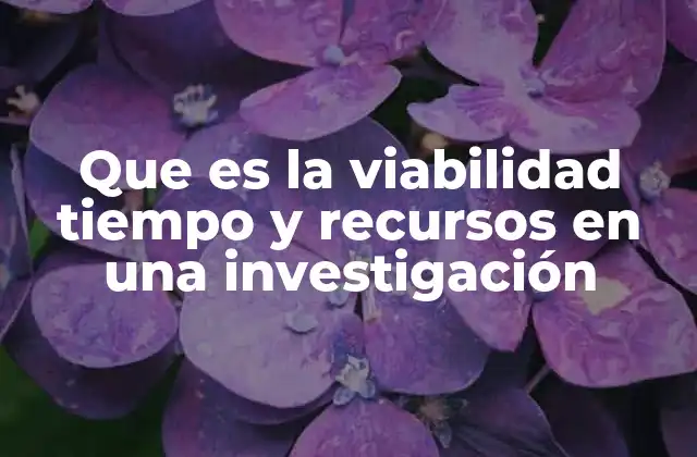 Que es la Viabilidad Tiempo y Recursos en una Investigación