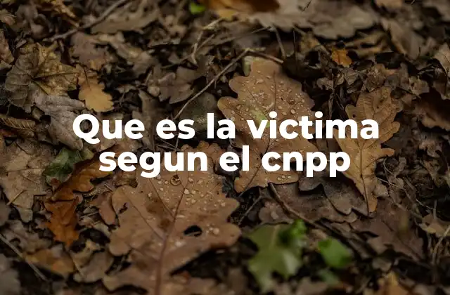 Que es la Victima Segun el Cnpp