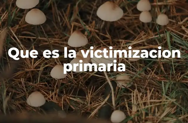 Que es la Victimizacion Primaria