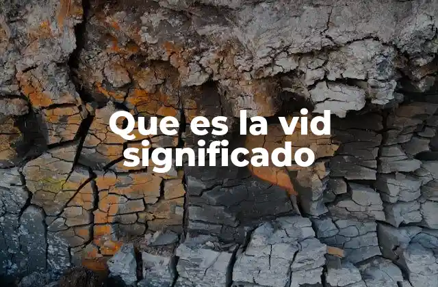 Que es la Vid Significado