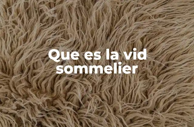 Que es la Vid Sommelier