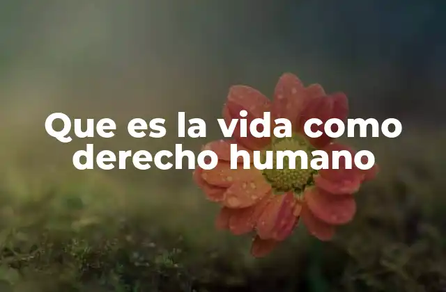 Que es la Vida como Derecho Humano