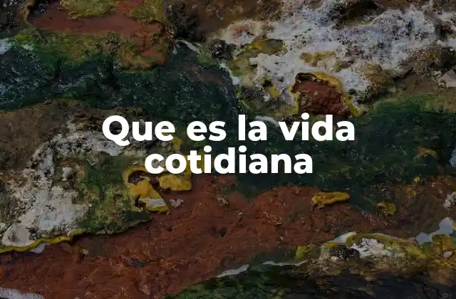 Que es la Vida Cotidiana
