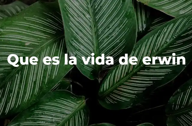 Que es la Vida de Erwin