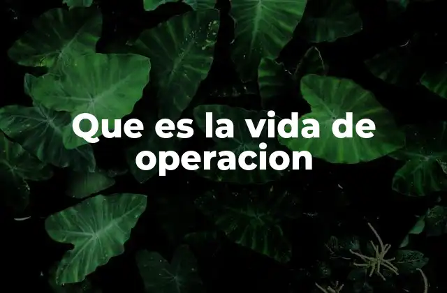 Que es la Vida de Operacion 2 Factores que influyen en la vida útil operativa