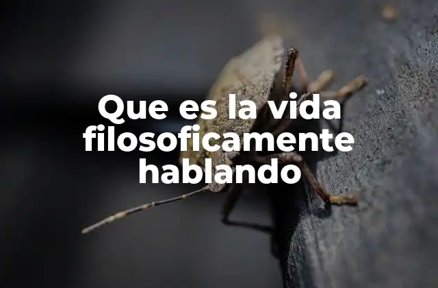 Que es la Vida Filosoficamente Hablando