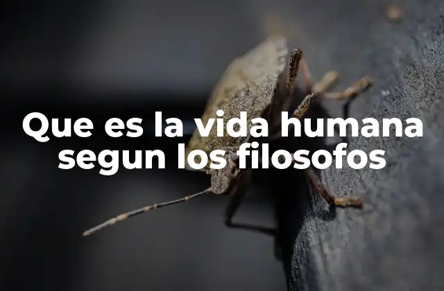 Que es la Vida Humana Segun los Filosofos