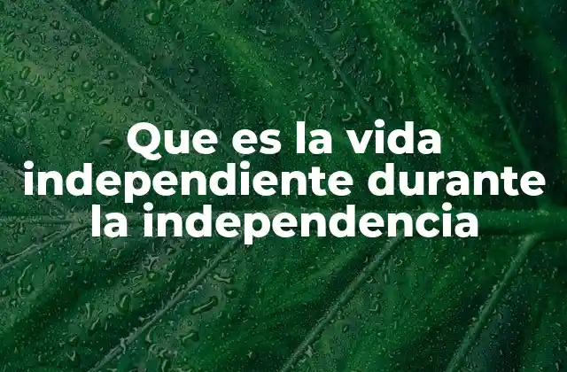 Que es la Vida Independiente durante la Independencia 2 La transición de la dependencia a la autonomía