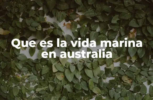 Que es la Vida Marina en Australia 2 La importancia ecológica de los ecosistemas marinos australianos