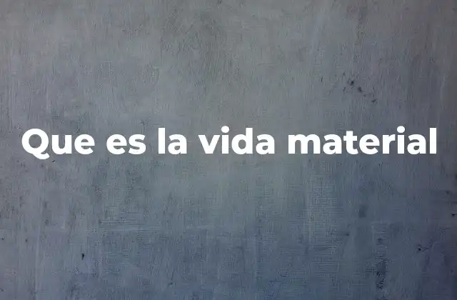 Que es la Vida Material