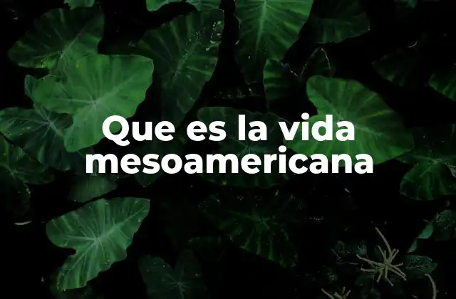 Que es la Vida Mesoamericana