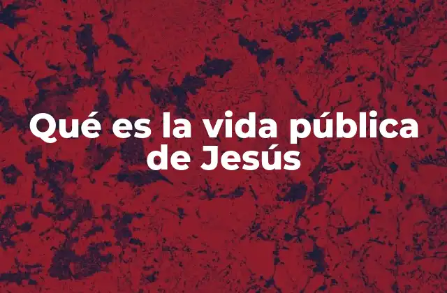 Qué es la Vida Pública de Jesús