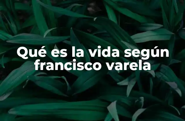 El giro fenomenológico en la comprensión de la vida