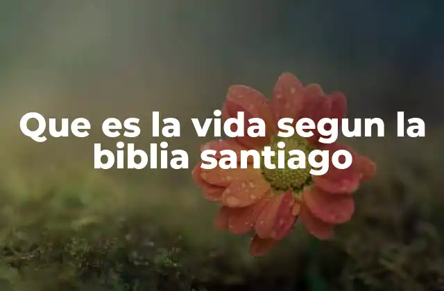 La vida como una responsabilidad ética y espiritual
