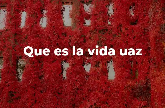 La vida uaz como reflejo del lenguaje juvenil