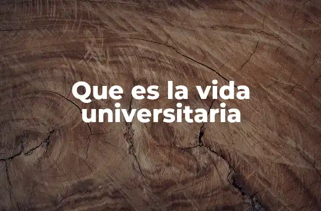 La transición a la vida universitaria