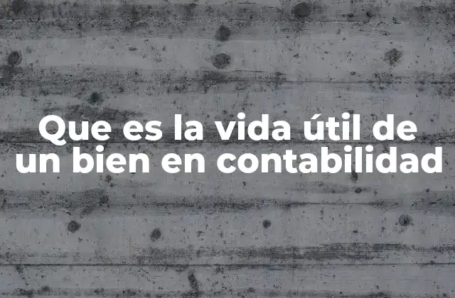 Que es la Vida Útil de un Bien en Contabilidad