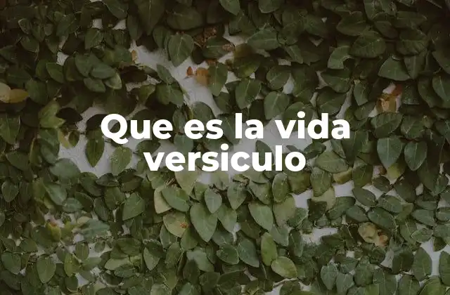 Que es la Vida Versiculo 2 La importancia de los versículos en la búsqueda de sentido