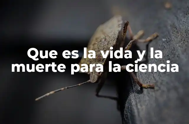 Que es la Vida y la Muerte para la Ciencia