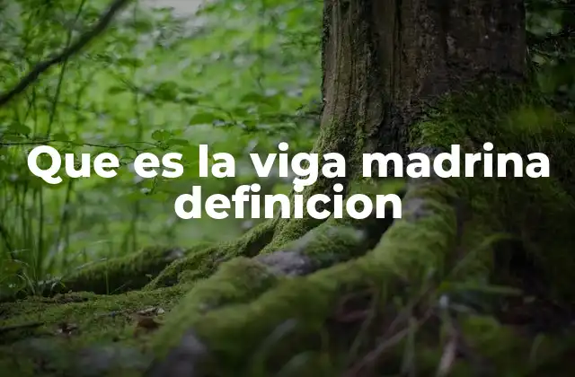 Que es la Viga Madrina Definicion