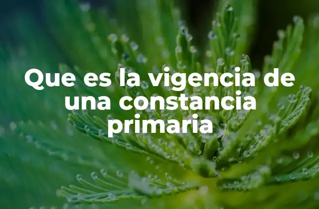 Que es la Vigencia de una Constancia Primaria