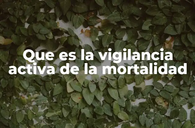 Que es la Vigilancia Activa de la Mortalidad 2 La importancia de monitorear los fallecimientos en contextos de salud pública