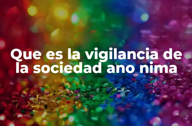 Que es la Vigilancia de la Sociedad Ano Nima