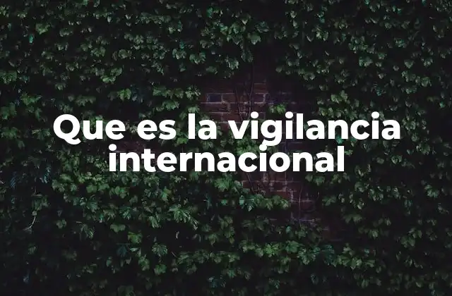 Que es la Vigilancia Internacional 2 El papel de la tecnología en la observación global