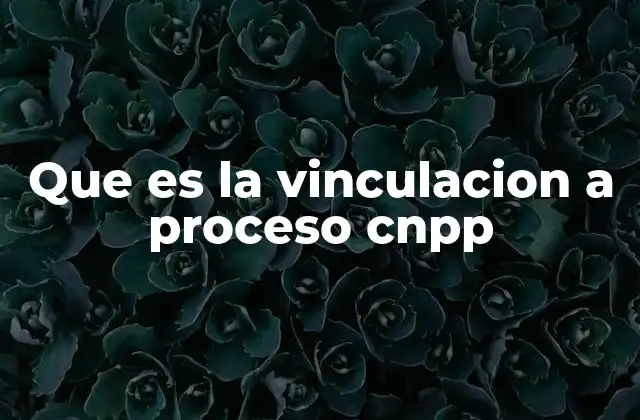 Que es la Vinculacion a Proceso Cnpp