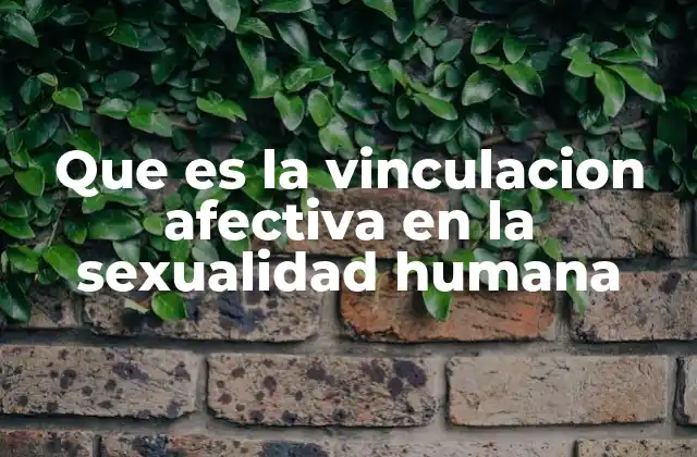 Que es la Vinculacion Afectiva en la Sexualidad Humana