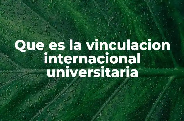 Que es la Vinculacion Internacional Universitaria