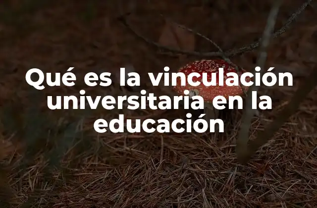 Qué es la Vinculación Universitaria en la Educación