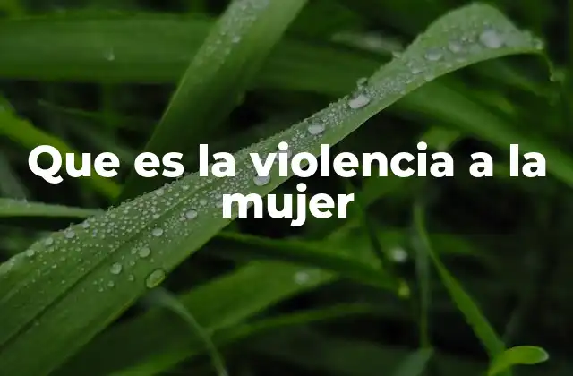 Que es la Violencia a la Mujer