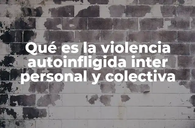 Qué es la Violencia Autoinfligida Inter Personal y Colectiva
