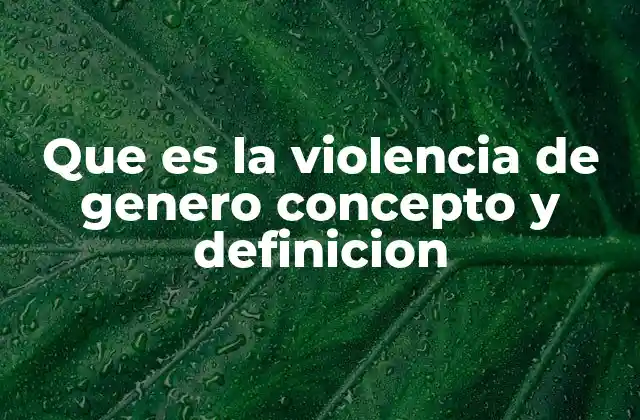 Que es la Violencia de Genero Concepto y Definicion