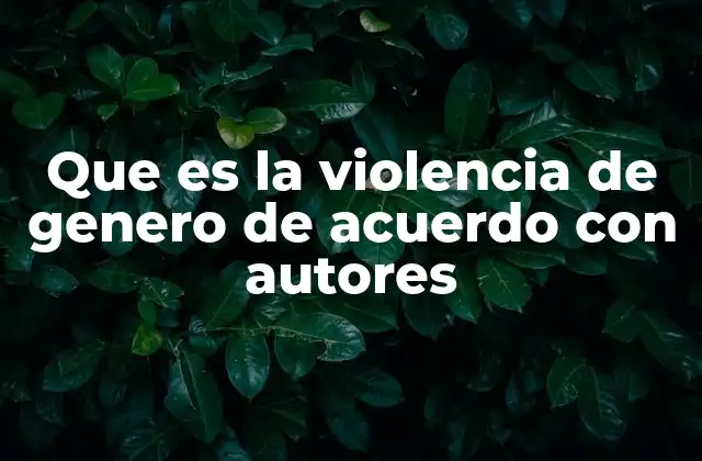 Que es la Violencia de Genero de Acuerdo con Autores