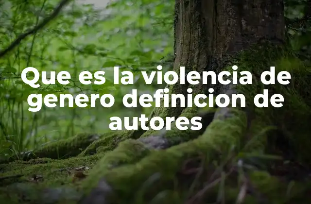 Que es la Violencia de Genero Definicion de Autores