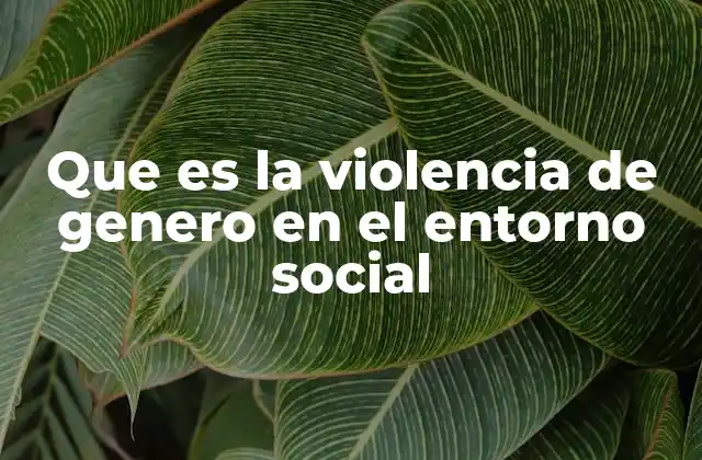 Que es la Violencia de Genero en el Entorno Social