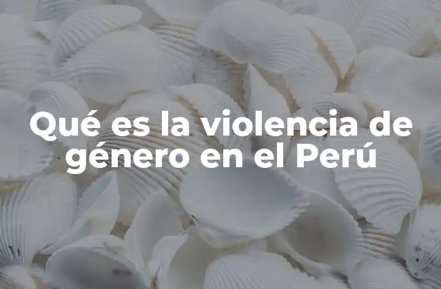 Qué es la Violencia de Género en el Perú