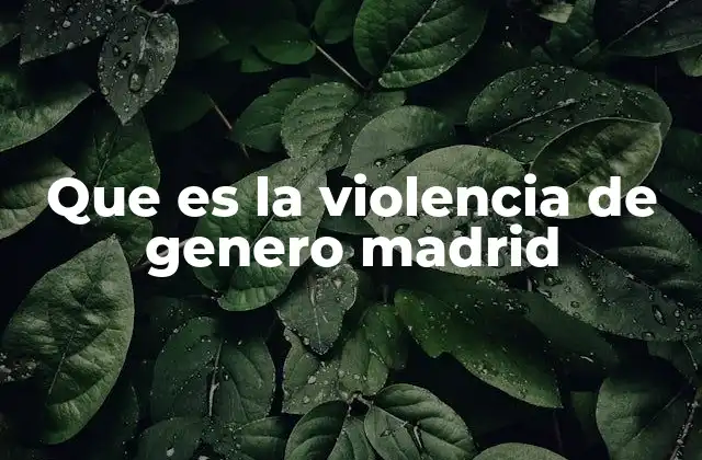 Que es la Violencia de Genero Madrid 2 Cómo se manifiesta la violencia de género en Madrid