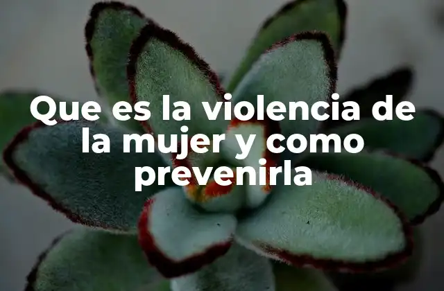Que es la Violencia de la Mujer y como Prevenirla
