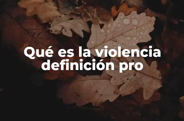 Qué es la Violencia Definición Pro