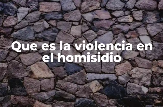 Que es la Violencia en el Homisidio