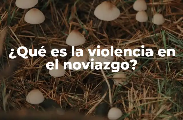 ¿qué es la Violencia en el Noviazgo?