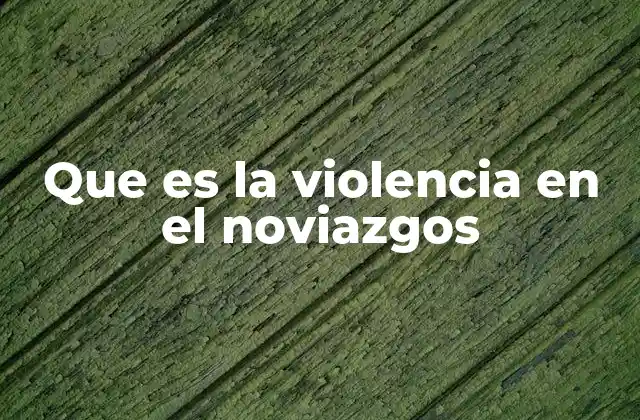 Que es la Violencia en el Noviazgos