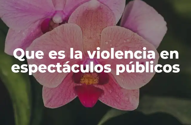 Que es la Violencia en Espectáculos Públicos