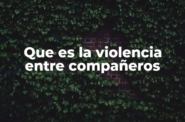 Que es la Violencia entre Compañeros