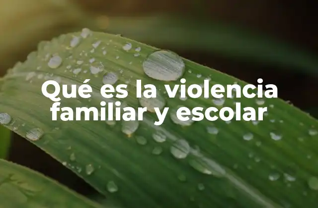 Qué es la Violencia Familiar y Escolar