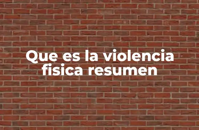 Que es la Violencia Fisica Resumen