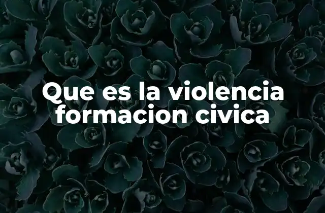 Que es la Violencia Formacion Civica